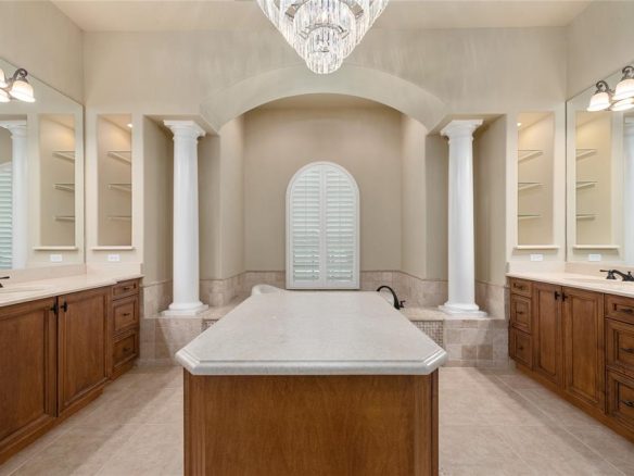 6548 LAKE BURDEN VIEW Drive WINDERMERE